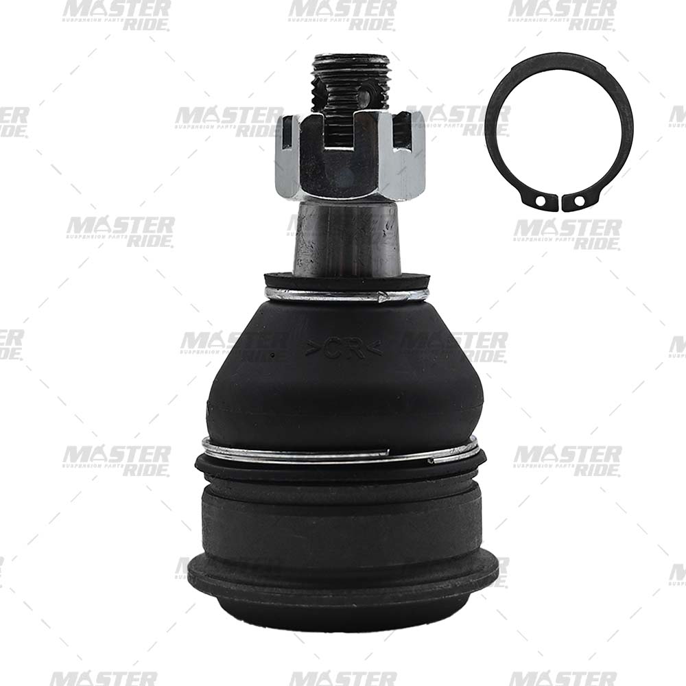 ROTULA INFERIOR MR1024004 MASTER RIDE